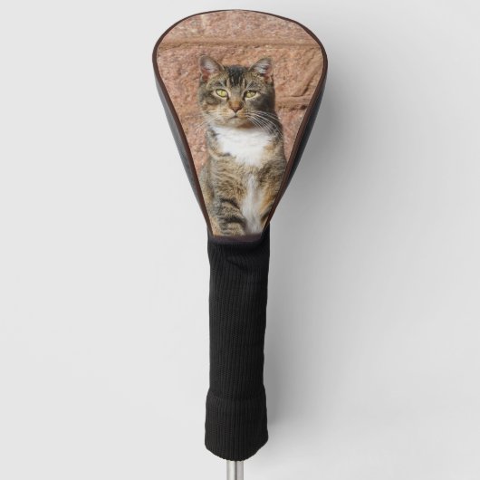 Church Cat Golfheadcover (Voorkant)