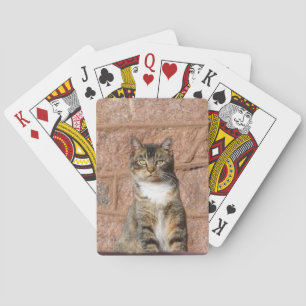 Church Cat Pokerkaarten