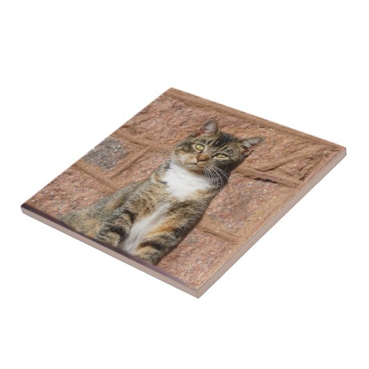 Church Cat Tegeltje (Zijkant)