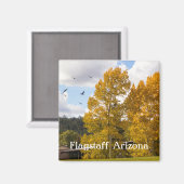 Chute à Flagstaff Arizona Magnet (Recto/Verso)