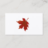 Chute Cartes Citrouilles Feuilles rouges (Dos)