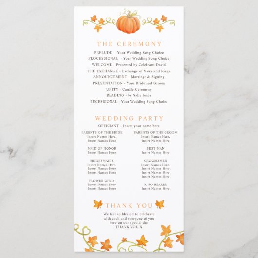 Chute d'amour citrouille programme de mariage aqua (Dos)