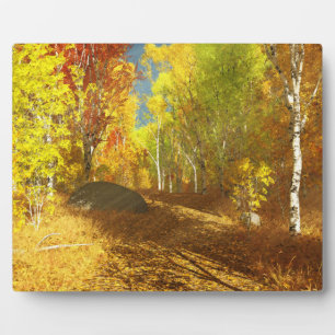 Chute de la plaque photo légère