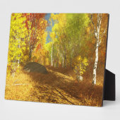 Chute de la plaque photo légère (Côté)