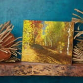 Chute de la plaque photo légère (Côté)