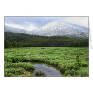 Chute De Neige De La Montagne Idaho