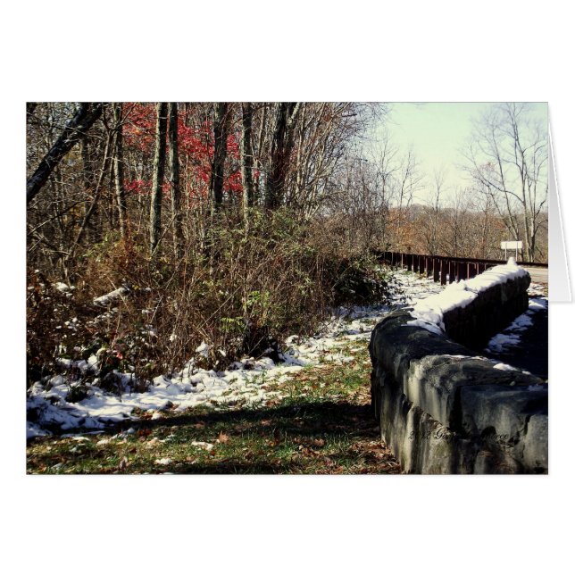 Chute de neige sur le Cherohala (Devant Horizontal)