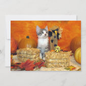 Chute de porc / Thanksgiving - Carte chat mignonne (Devant)