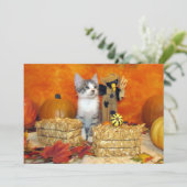 Chute de porc / Thanksgiving - Carte chat mignonne (Debout devant)
