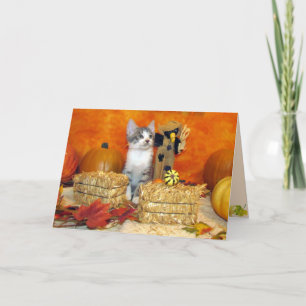 Chute de porc / Thanksgiving - Carte chat mignonne