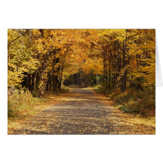 Chute des Feuilles