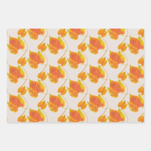 Chute en tache sur un ensemble de papier d'envelop (Devant 2)