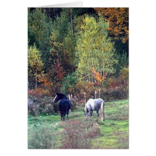 Chute frôlant - ferme Percherons de Ridge de pin (Devant)