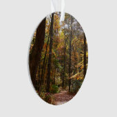 Chute Sunlit dans le parc national de Laurel Hill (devant)