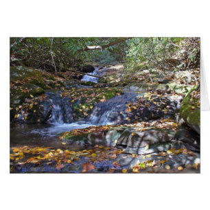Chutes d'automne à Fires Creek