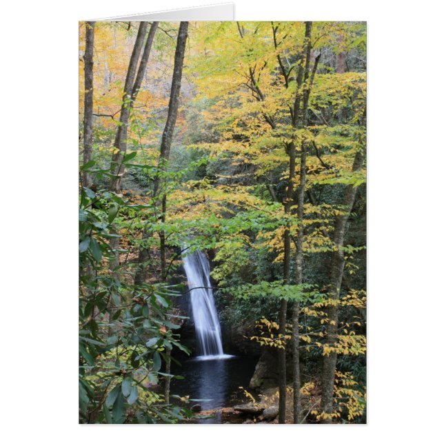 Chutes de Courthouse (Devant)