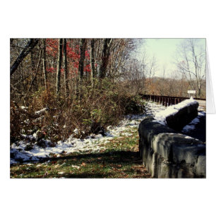 Chutes de neige sur le Cherohala