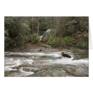 Chutes Leatherwood