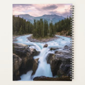 Chutes Sunwapta | Parc national Jasper (Dos)