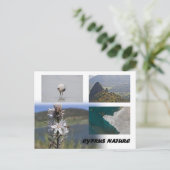 Chypre nature Carte postale (Debout devant)