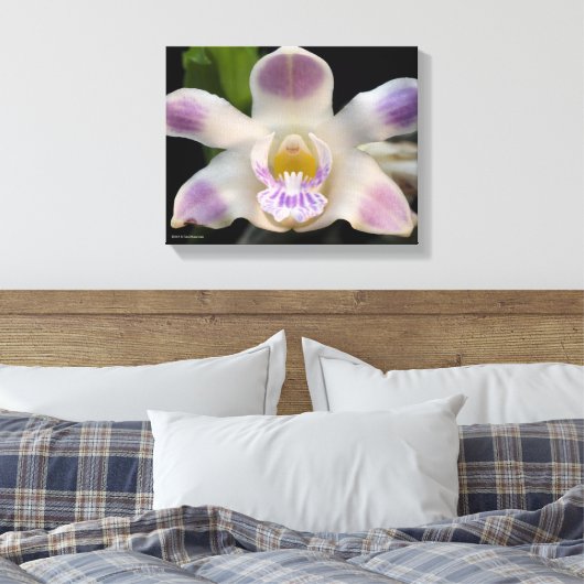 Chysis Violacea Canvas Afdruk (Insitu (Slaapkamer))