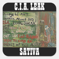 CIA LEAK SATIVA