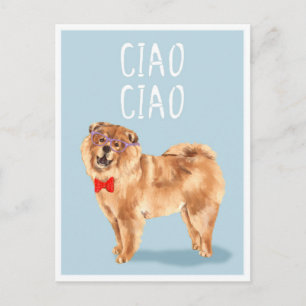 Ciao zegt dat de Chow Chow Dog grappige woordspeli Briefkaart