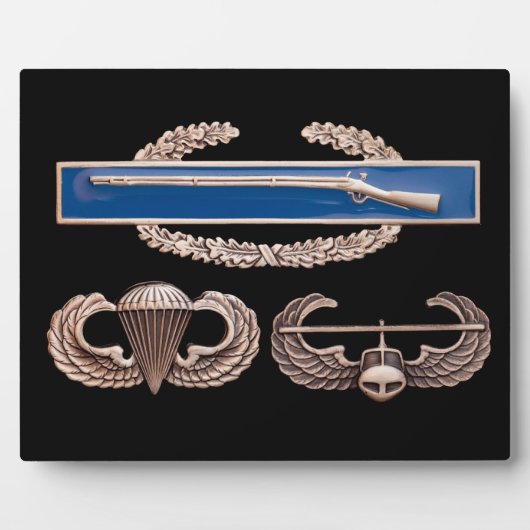 CIB Airborne Air Assault Fotoplaat (Voorkant)