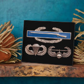 CIB Airborne Air Assault Fotoplaat (Zijkant)