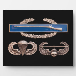 CIB Airborne Air Assault Fotoplaat