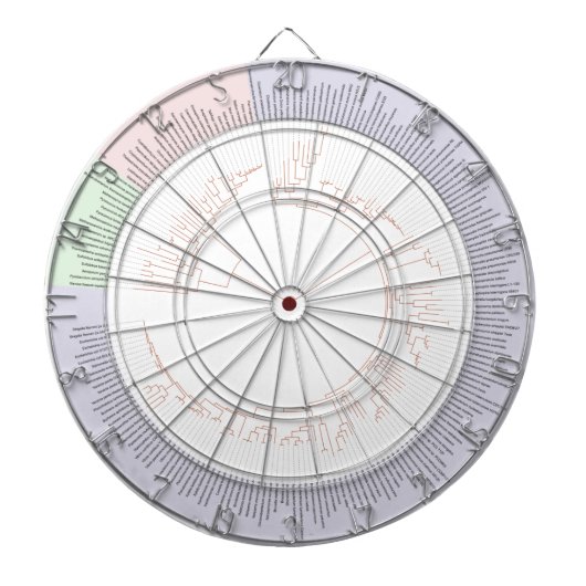 Cible De Fléchettes A phylogenetic tree of life Chart (Devant)