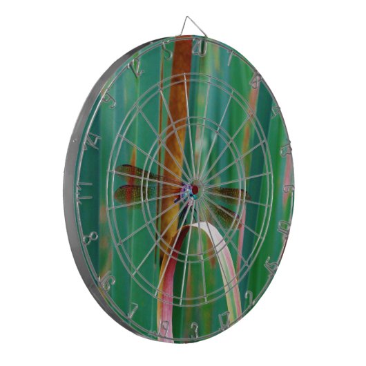 Cible De Fléchettes A teal Eyed Dragonfly with cattails (Devant gauche)