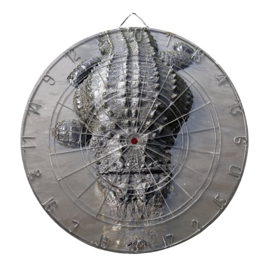 Cible De Fléchettes Alligator (Devant)