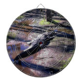 Cible De Fléchettes Alligator de la Floride (Devant)