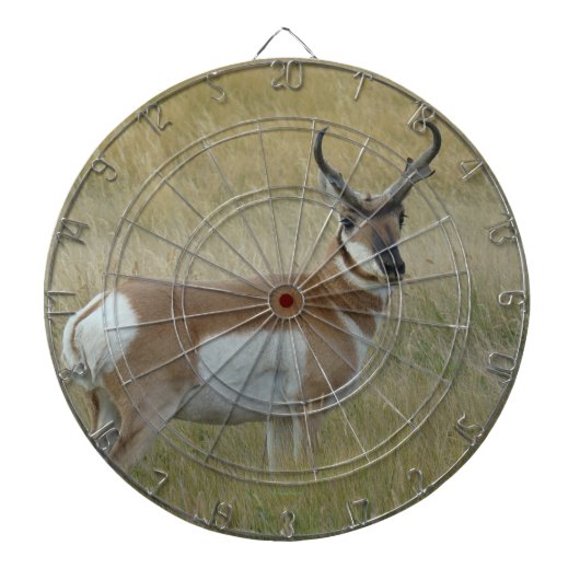 Cible De Fléchettes Antilope d'Amérique mâle A1 (Devant)