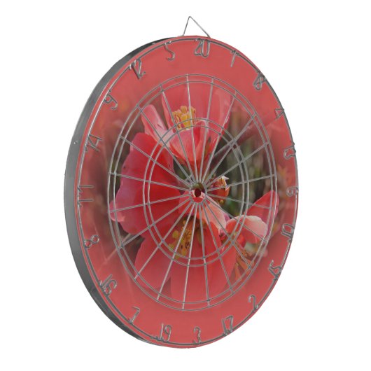 Cible De Fléchettes Arbre à coing (Devant gauche)