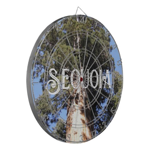 Cible De Fléchettes Arbre géant forestier national de Sequoia (Devant gauche)
