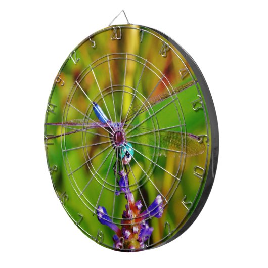 Cible De Fléchettes Arc en ciel libellule et fleur (Devant droit)