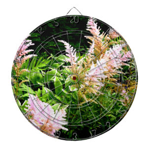 Cible De Fléchettes Astilbe