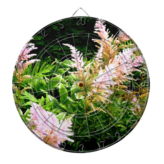 Cible De Fléchettes Astilbe (Devant)