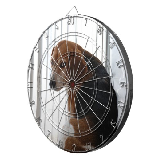 Cible De Fléchettes attitude beagle (Devant droit)