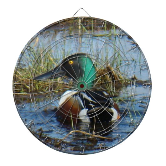 Cible De Fléchettes B25 Canard colvert mâle (Devant)