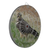 Cible De Fléchettes B52 Buse de Swainson (Devant gauche)