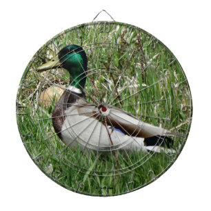 Cible De Fléchettes B55 Duck de Mallard Drake Greenhead dans l'herbe