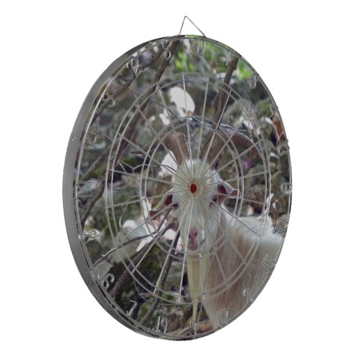 Cible De Fléchettes Billy Goat (Devant gauche)