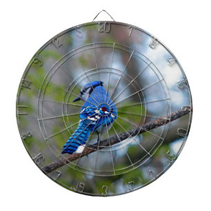 Cible De Fléchettes Blue Jay