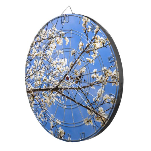 Cible De Fléchettes branche de floraison (Devant droit)