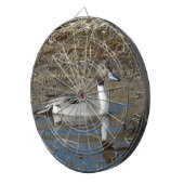 Cible De Fléchettes Canard Drake du canard pilet B5 (Devant droit)