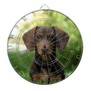 Cible De Fléchettes Chiot Brown Dachshund