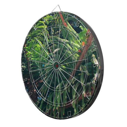 Cible De Fléchettes conifère à feuillage persistant de pin (Devant droit)